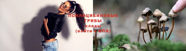 ПСИЛОЦИБИНОВЫЕ ГРИБЫ Дмитровск