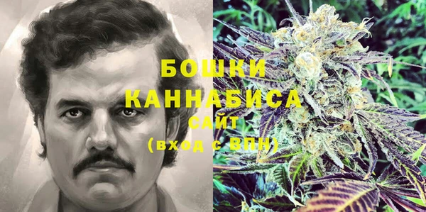 ПСИЛОЦИБИНОВЫЕ ГРИБЫ Дмитровск