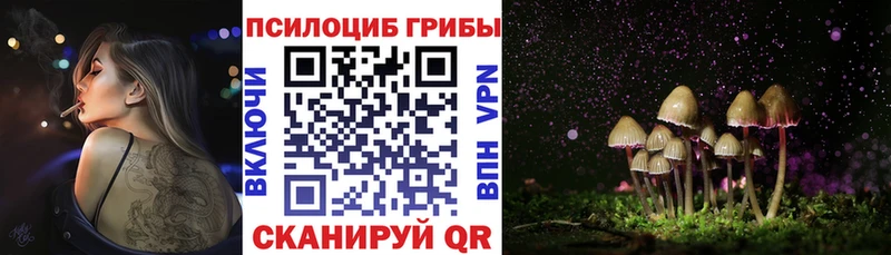 Псилоцибиновые грибы GOLDEN TEACHER  наркошоп  Болгар 