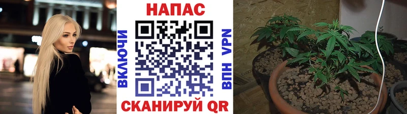 mega рабочий сайт  Болгар  МАРИХУАНА AK-47 